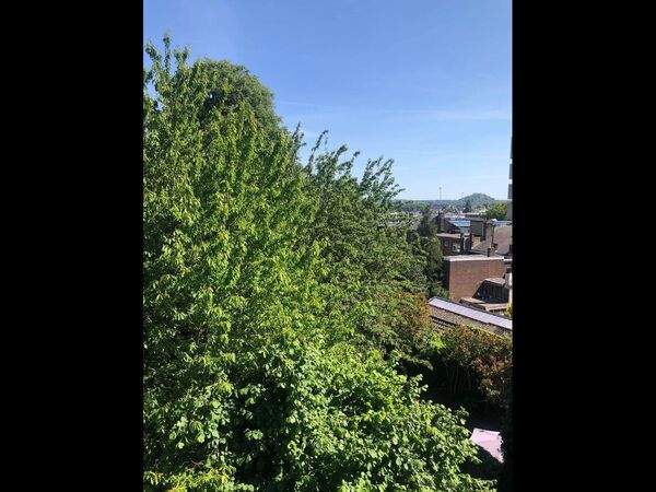 Colocation / Maison 10 pièces de 400 m², Charleroi / Photo 12