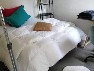 Room in a live-in landlord's home / 1 room house, Nantes