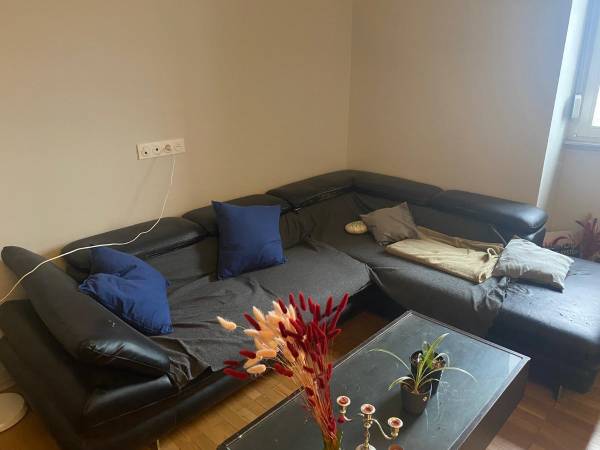 Coliving / Appartement 3 pièces de 80 m², Strasbourg, Rue des Orphelins / Photo 2