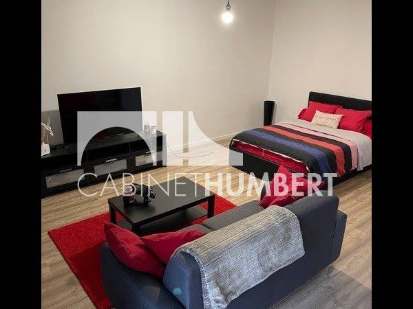 Location / Appartement 1 pièce de 42 m², Saint-Étienne, Rue Emile Clermont / Photo 2