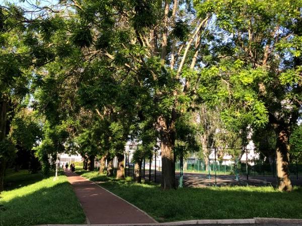 Colocation / Appartement 4 pièces de 57 m², Ivry-sur-Seine, Rue Gaston Monmousseau / Photo 2