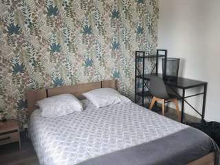 Room share, 5 rooms apartment, Nevers