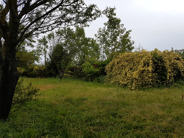 Chambre chez l'habitant / Maison 6 pièces de 200 m², Gardanne, Le Langarie / Photo 2