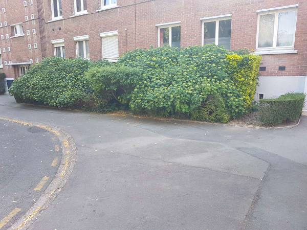 Colocation / Appartement 7 pièces de 75 m², Lille, Rue Clément Ader / Photo 2