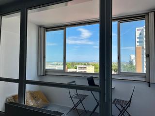 Colocation / Appartement 3 pièces de 71 m², Villeurbanne, Cours Émile-Zola