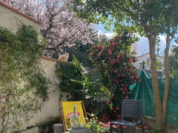 Sous-location / Maison 6 pièces de 135 m², Toulouse, Rue Condeau / Photo 2