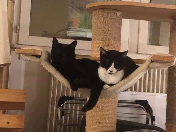 Colocation / Appartement 3 pièces de 87 m², Lyon, Rue Saint Jean / Photo 10