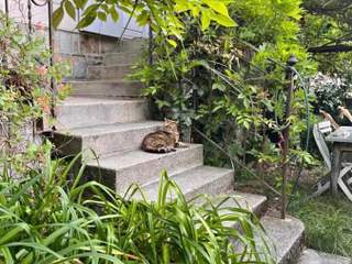Colocation / 3 rooms apartment · 70 m², Lausanne, Chemin de Boston