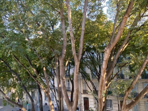 Sous-location / Appartement 2 pièces de 47 m², Marseille, Boulevard Chave / Photo 8