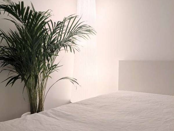 Chambre chez l'habitant / Appartement 3 pièces de 80 m², Nantes, Rue Pierre Landais / Photo 2