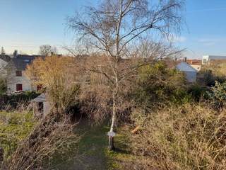 Flatsharing / 3-bedroom house · 82 m², Orsay, Boulevard de Mondétour