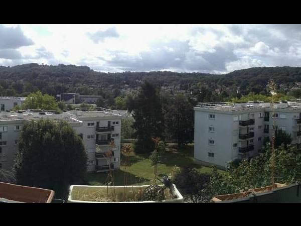 Colocation / Appartement 5 pièces de 90 m², Gif-sur-Yvette, Résidence du Parc du Château de Courcelle / Photo 3