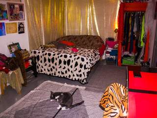 Sous-location / Appartement 6 pièces de 140 m², Montpellier, Rue Fournarié