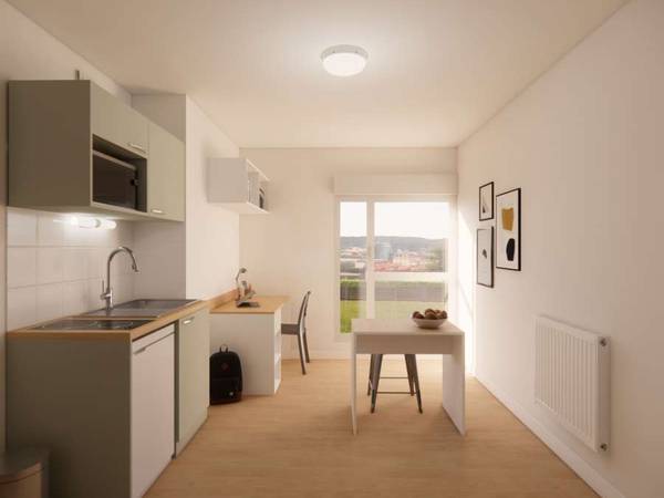 Résidence étudiante / Appartement 1 pièce de 19 m², Mulhouse, Rue Dante / Photo 3