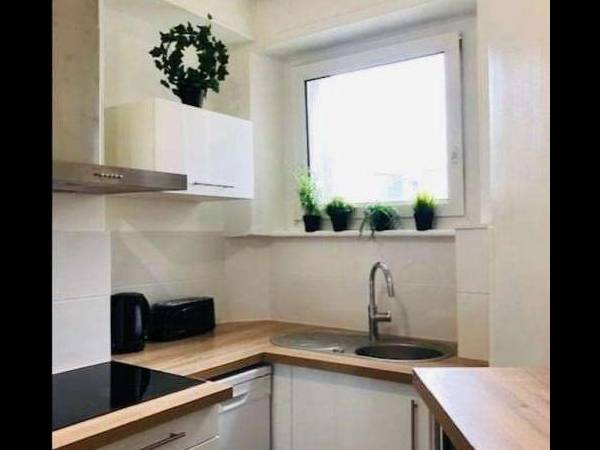 Colocation / Appartement 4 pièces de 76 m², Brest, Rue Conseil / Photo 2