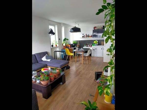 Sous-location / Appartement 8 pièces de 120 m², Villeurbanne, Rue de la Baïsse / Photo 8