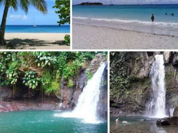 Colocation / Appartement 4 pièces de 67 m², Les Abymes / Photo 5