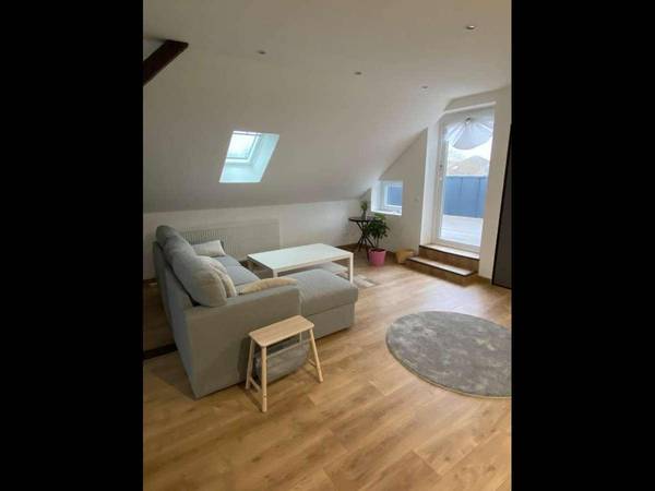 Colocation / Appartement 2 pièces de 45 m², Strasbourg / Photo 2