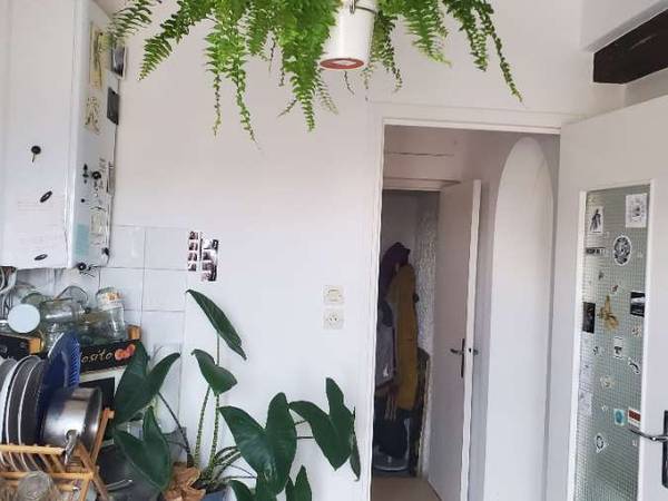 Colocation / Appartement 4 pièces de 59 m², Montpellier, Rue Terral / Photo 2