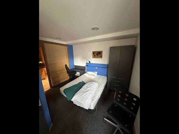 Colocation / Appartement 5 pièces de 88 m², Grenoble, Rue Général Ferrié / Photo 9