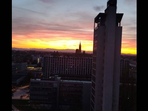 Colocation / Appartement 4 pièces de 110 m², Strasbourg, Avenue du Général de Gaulle / Photo 2