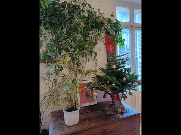 Sous-location / Appartement 5 pièces de 110 m², Bordeaux, Rue des Ayres / Photo 8