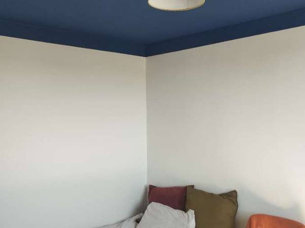 Colocation / Appartement 3 pièces de 54 m², Lyon, Rue Villon / Photo 2