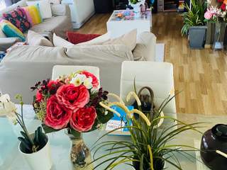 Colocation / Appartement 2 pièces de 85 m², Bruxelles