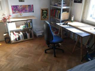 Sous-location / Appartement 6 pièces de 140 m², Strasbourg, Avenue des Vosges