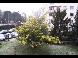 Flatsharing / 7-bedroom flat · 88 m², Toulouse, Avenue Léon Blum