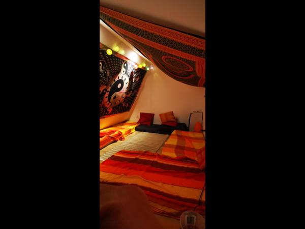 Colocation / Appartement 7 pièces de 110 m², Lyon, Rue Verlet-Hanus / Photo 11