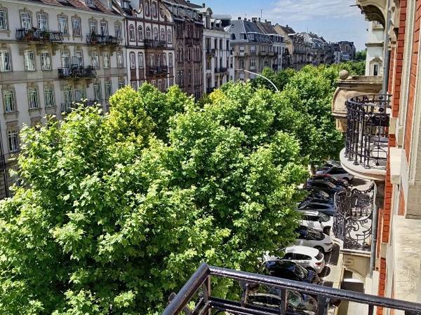 Sous-location / Appartement 5 pièces de 135 m², Strasbourg, Avenue de la Paix / Photo 2