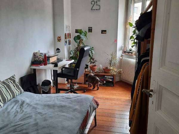 Colocation / Appartement 6 pièces de 100 m², Strasbourg, Avenue des Vosges / Photo 3