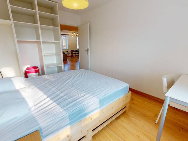 Colocation / Appartement 5 pièces de 110 m², Nancy, Rue Victor Hugo / Photo 2