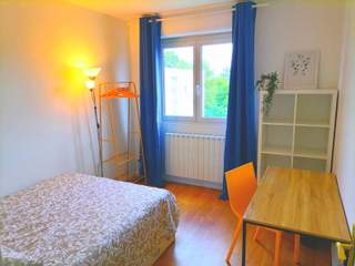 Room in a live-in landlord's home / 1 room apartment, Pessac