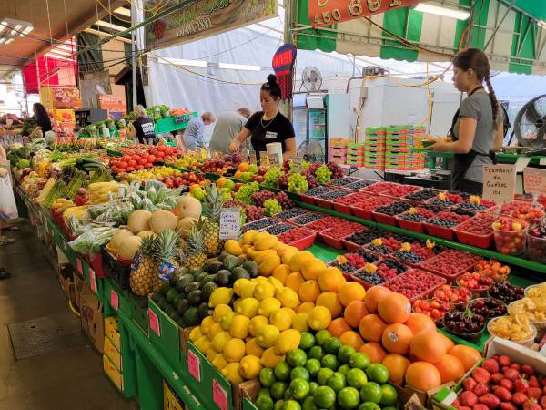 Chambre chez l'habitant / Appartement 4 pièces de 100 m², Montréal, Rue Vinet / Photo 14