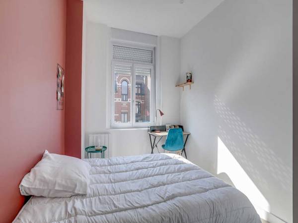 Colocation / Appartement 11 pièces de 260 m², Lille, Boulevard de Montebello / Photo 2