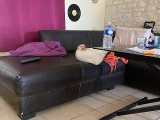 Homestay / Studio · 25 m² , Sainte-Gemme, Route du Gua
