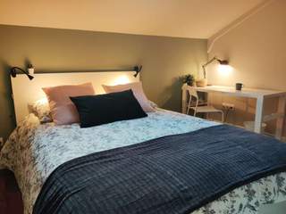 Colocation / Maison 10 pièces de 250 m², Bordeaux, Rue François le Gallais