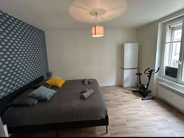 Location / Appartement 2 pièces de 37 m², Strasbourg, Rue Frédéric / Photo 3