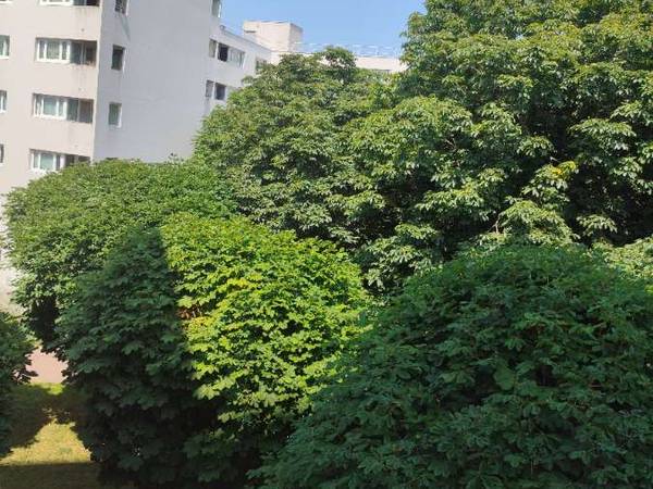 Colocation / Appartement 4 pièces de 70 m², Montigny-le-Bretonneux, Mail des Tilleuls / Photo 13