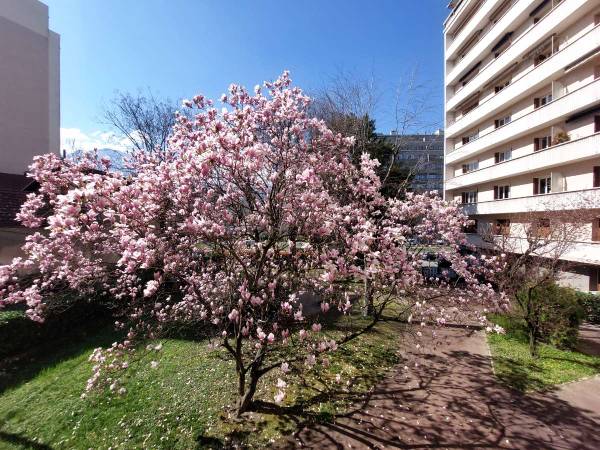 Colocation / Appartement 2 pièces de 55 m², Grenoble, Cours de la Libération Et du Général de Gaulle / Photo 13