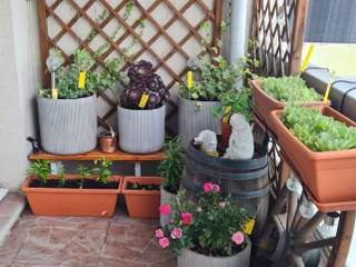 Homestay / 5-bedroom flat · 125 m², Villeurbanne, Cours Emile Zola