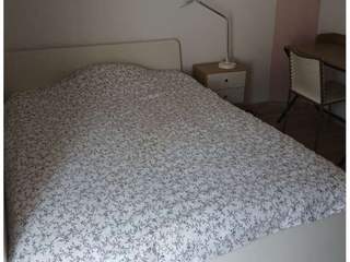 Room in a live-in landlord's home / 1 room house · 150 m², Nancy, Rue du Chemin Blanc
