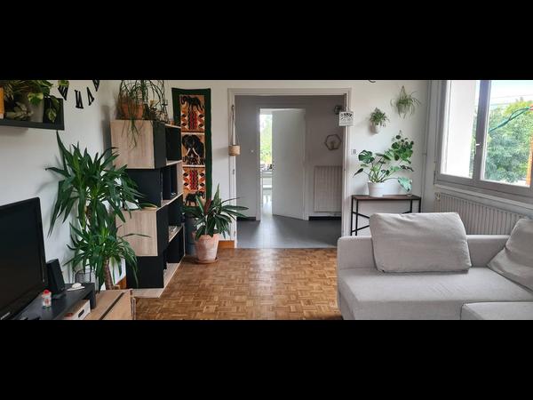 Colocation / Maison 5 pièces de 110 m², Toulouse, Rue Bernard Bénézet / Photo 2