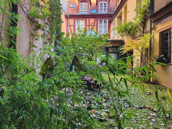 Colocation / Duplex 5 pièces de 100 m², Strasbourg, Rue des Pucelles / Photo 12