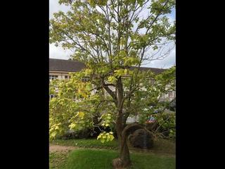 Homestay / 4-bedroom flat · 75 m², Caen, Rue Gustave Flaubert