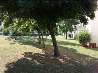 Rental / 1-bedroom flat · 22 m², Toulouse, Rue de Bayeux
