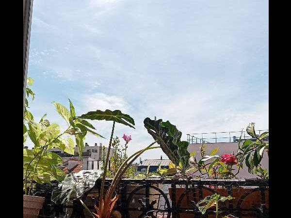 Sous-location / Studio de 20 m², Montreuil, Rue des Deux Communes / Photo 10