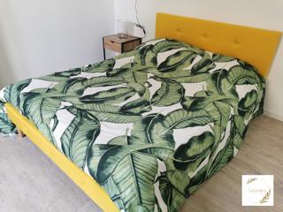 Room share / 8 rooms house · 110 m², Dax, Rue Joseph Darqué